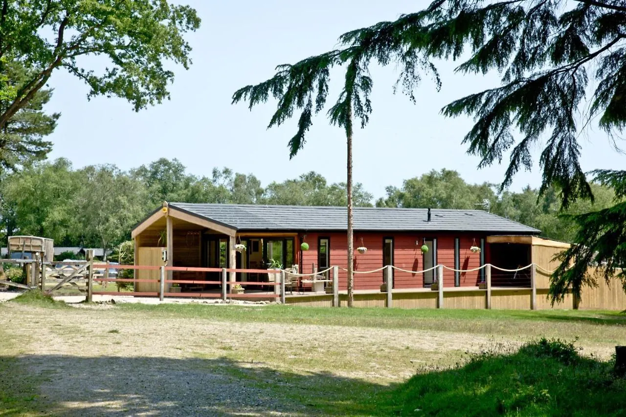 Σπίτι διακοπών Haldon Forest Lodge, Έξετερ Ηνωμένο Βασίλειο