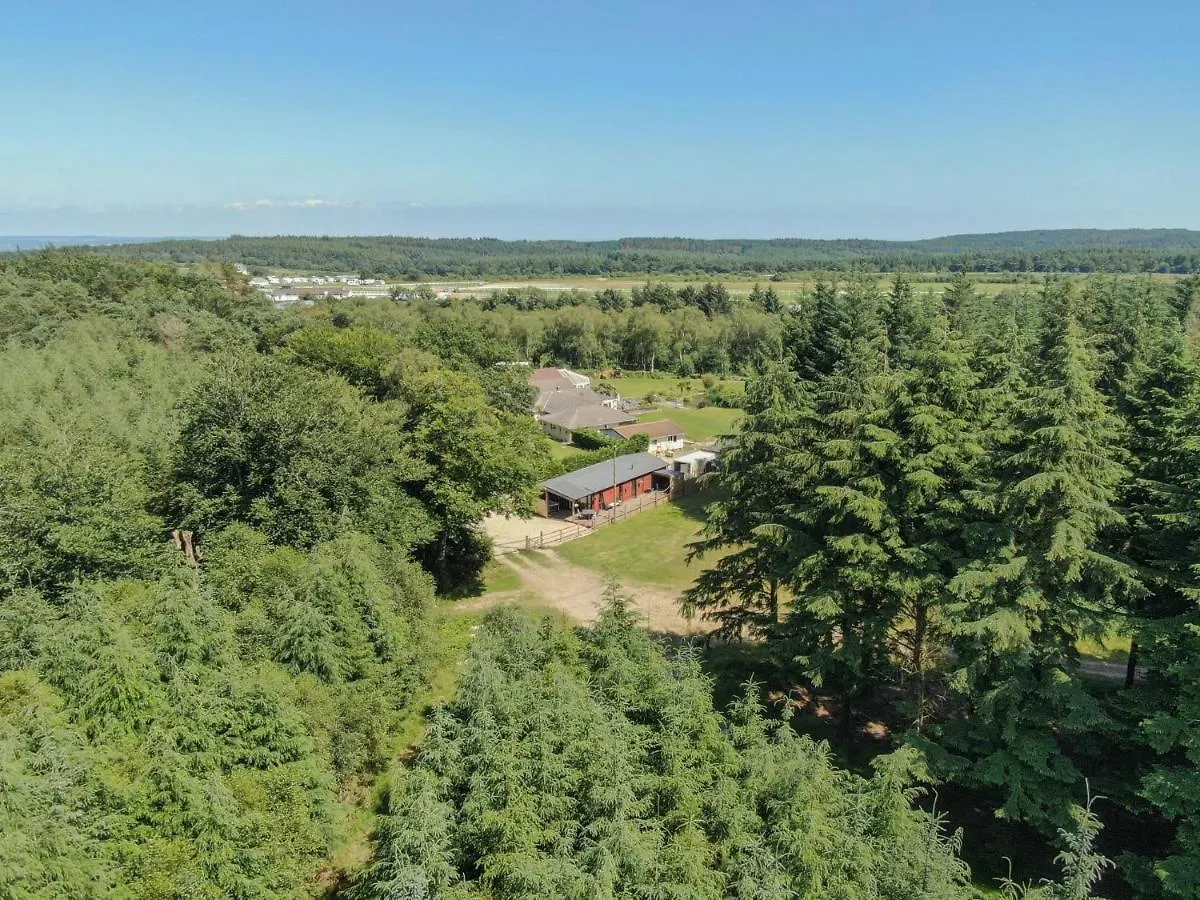 Haldon Forest Lodge, Έξετερ Ηνωμένο Βασίλειο